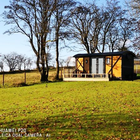 Pen-Rhos Luxury Glamping "Cuckoo'S Nest" Villa Llandrindod Wells Exterior foto