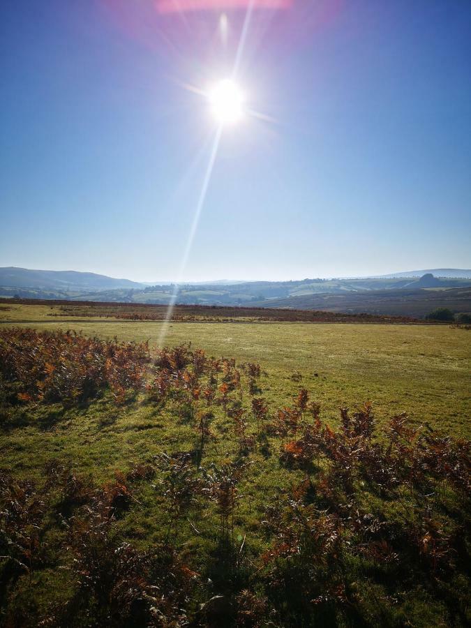 Pen-Rhos Luxury Glamping "Cuckoo'S Nest" Villa Llandrindod Wells Exterior foto