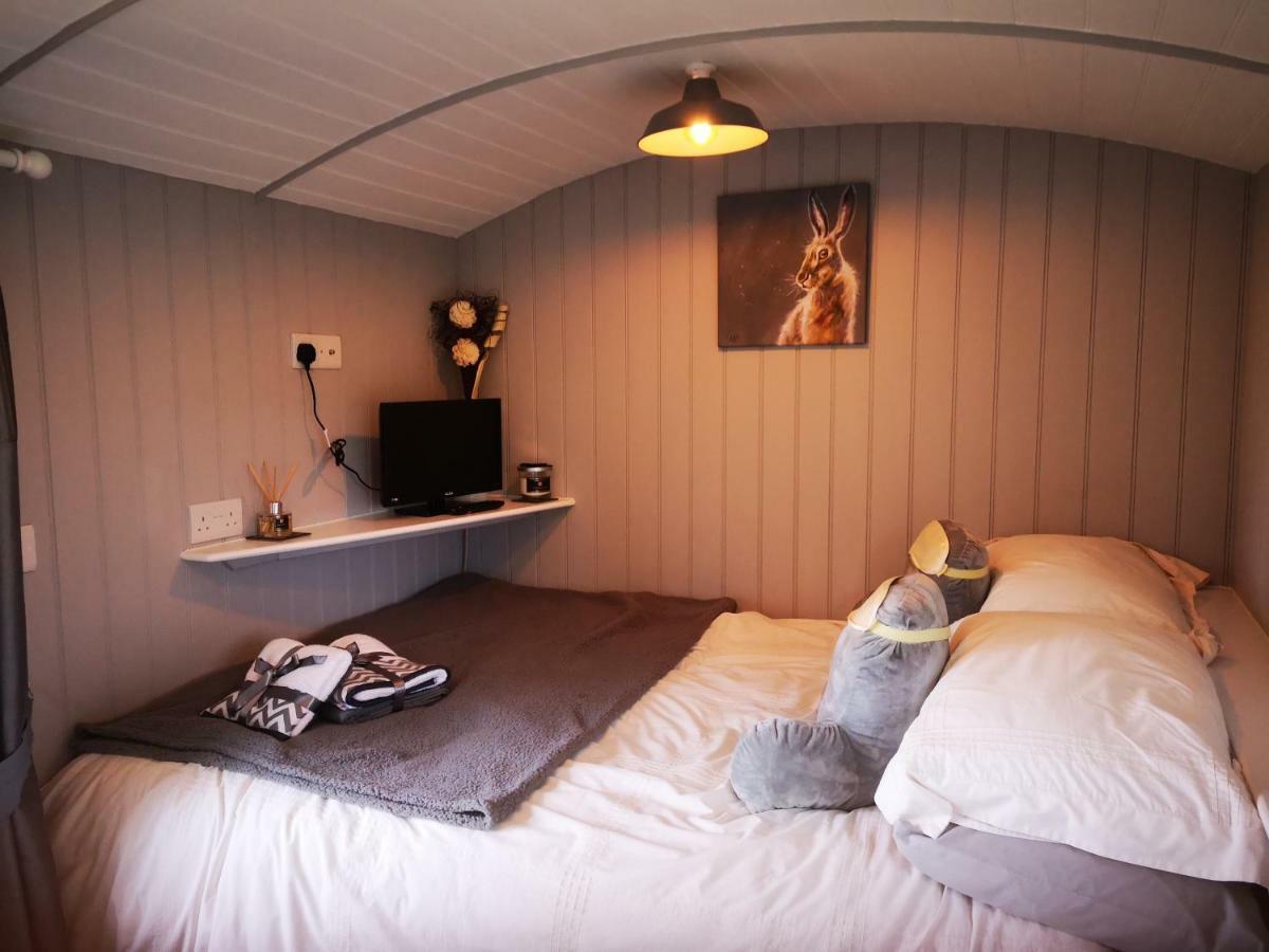Pen-Rhos Luxury Glamping "Cuckoo'S Nest" Villa Llandrindod Wells Exterior foto