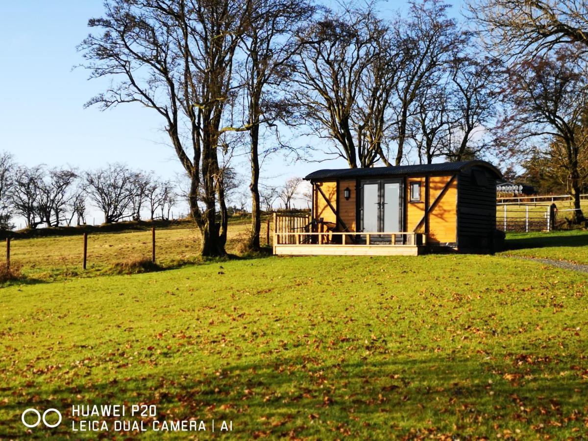Pen-Rhos Luxury Glamping "Cuckoo'S Nest" Villa Llandrindod Wells Exterior foto